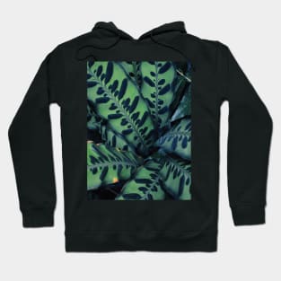 Calathea Hoodie